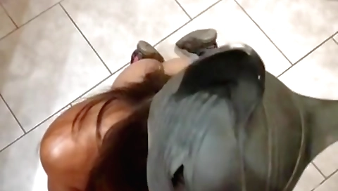 Brunette brunette is fucked from behind in the bedroom